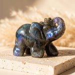 Éléphant "Gardien Protecteur" en Labradorite - - L'Arbre des Chakras